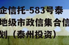 央企信托-583号泰州地级市政信集合信托计划（泰州投资）