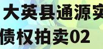 四川大英县通源实业2023债权拍卖02