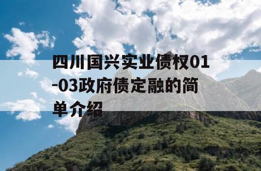 四川国兴实业债权01-03政府债定融的简单介绍