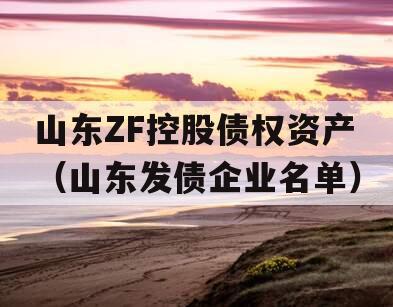 山东ZF控股债权资产（山东发债企业名单）