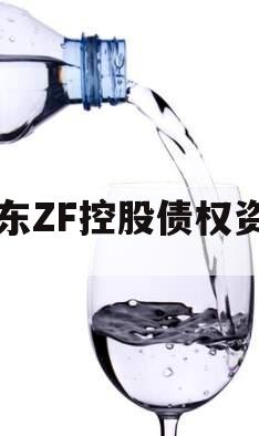 山东ZF控股债权资产