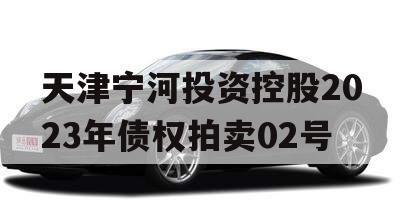 天津宁河投资控股2023年债权拍卖02号