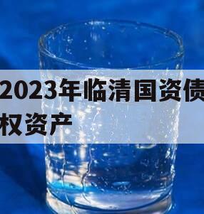 2023年临清国资债权资产