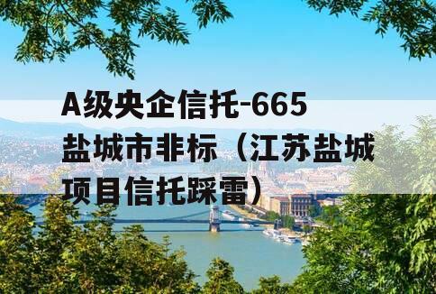 A级央企信托-665盐城市非标（江苏盐城项目信托踩雷）