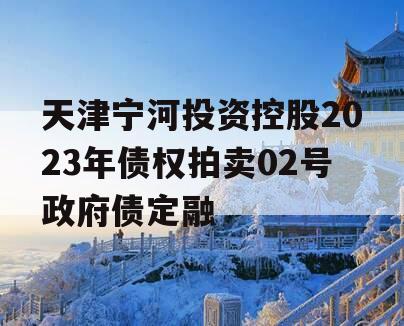 天津宁河投资控股2023年债权拍卖02号政府债定融