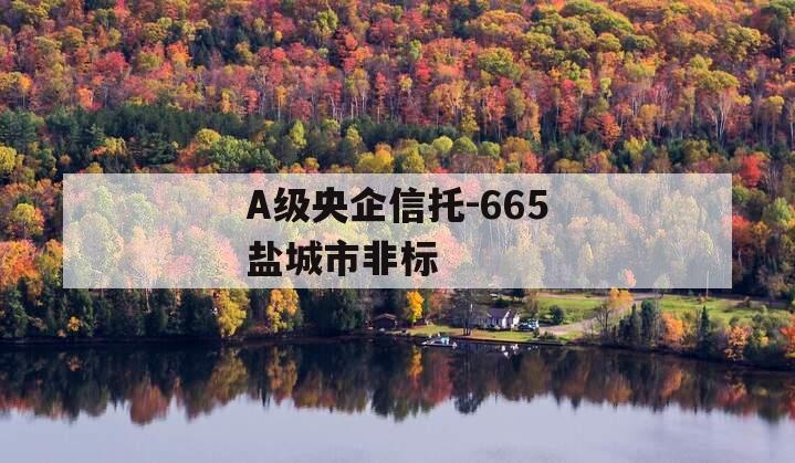 A级央企信托-665盐城市非标