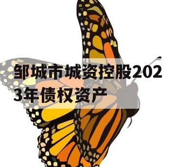 邹城市城资控股2023年债权资产