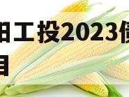 简阳工投2023债权项目