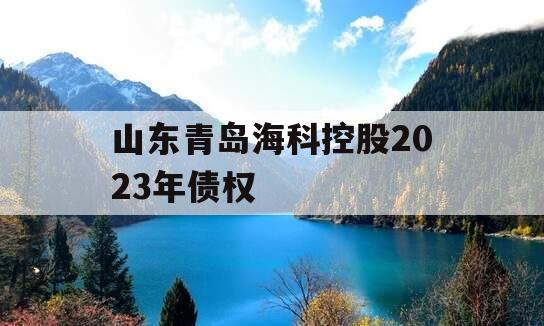 山东青岛海科控股2023年债权