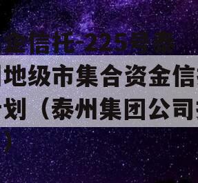 央企信托-225号泰州地级市集合资金信托计划（泰州集团公司排名）