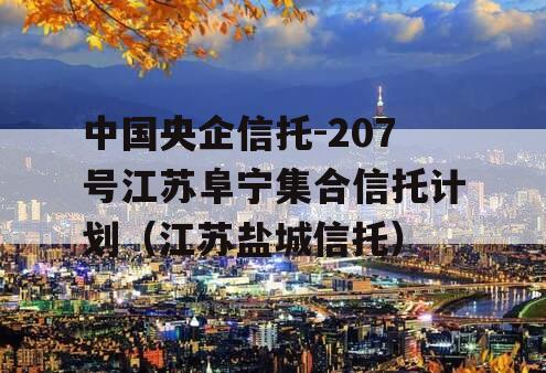 中国央企信托-207号江苏阜宁集合信托计划（江苏盐城信托）