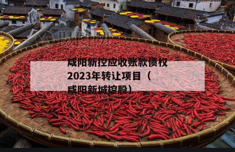 咸阳新控应收账款债权2023年转让项目（咸阳新城控股）