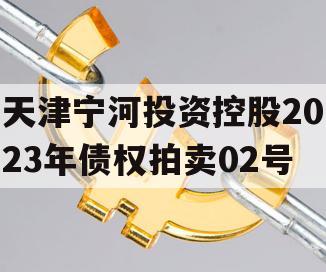 天津宁河投资控股2023年债权拍卖02号