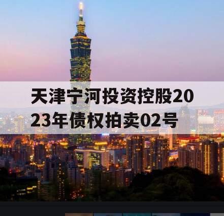 天津宁河投资控股2023年债权拍卖02号