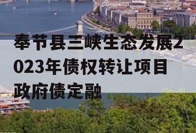 奉节县三峡生态发展2023年债权转让项目政府债定融