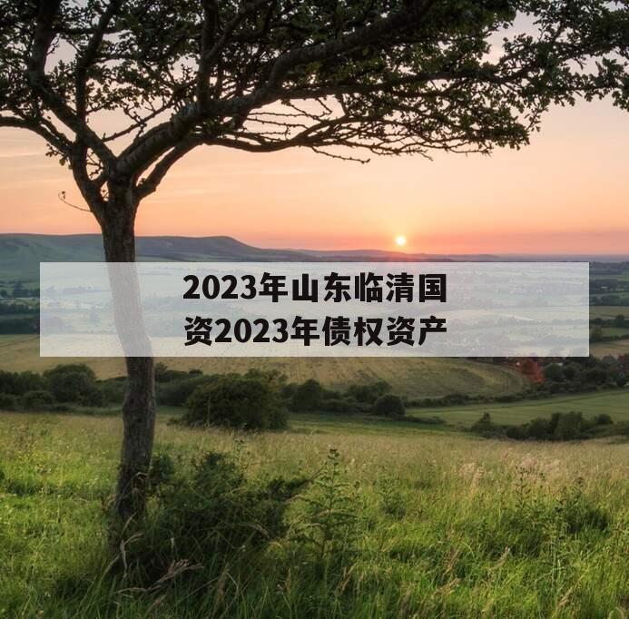 2023年山东临清国资2023年债权资产