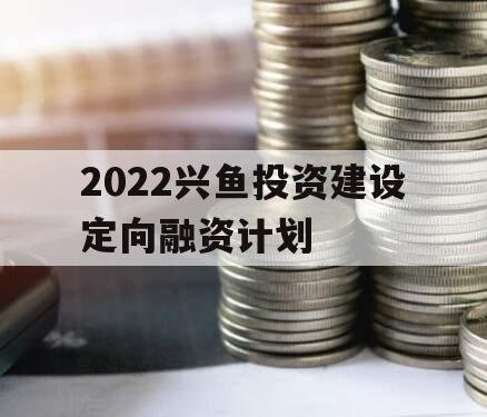 2022兴鱼投资建设定向融资计划