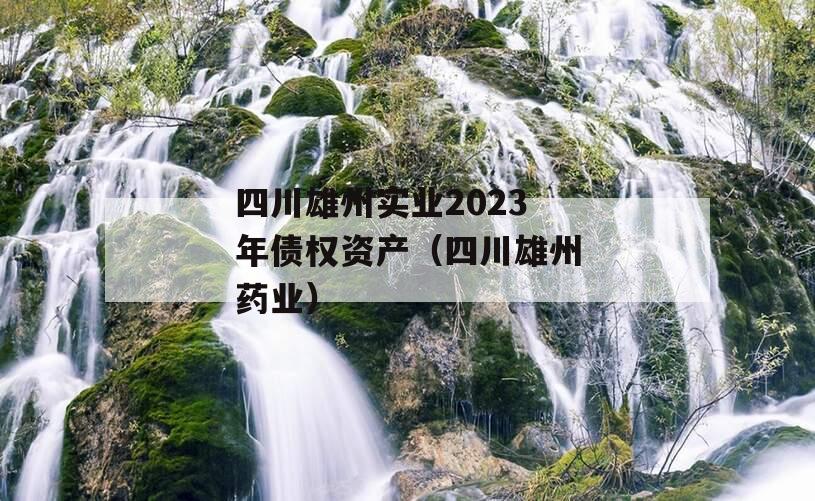 四川雄州实业2023年债权资产（四川雄州药业）