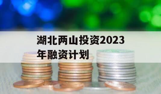 湖北两山投资2023年融资计划