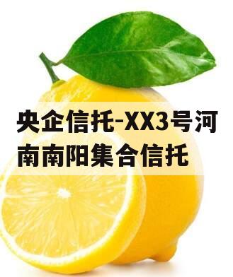 央企信托-XX3号河南南阳集合信托