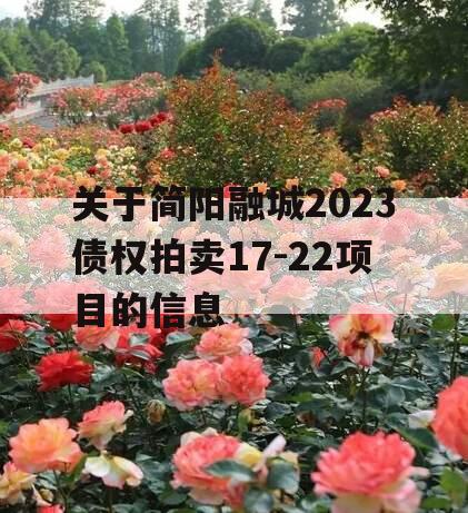 关于简阳融城2023债权拍卖17-22项目的信息