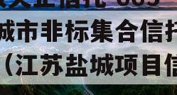 A级央企信托-665盐城市非标集合信托计划（江苏盐城项目信托踩雷）