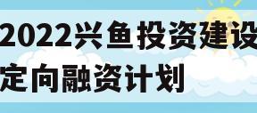 2022兴鱼投资建设定向融资计划