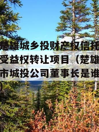 楚雄城乡投财产权信托受益权转让项目（楚雄市城投公司董事长是谁）