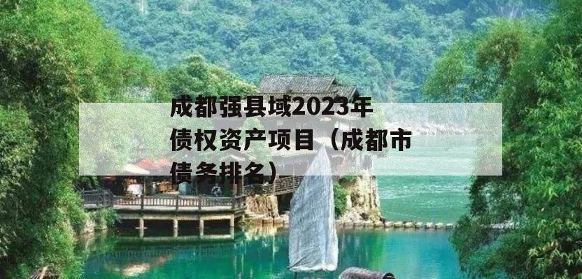 成都强县域2023年债权资产项目（成都市债务排名）