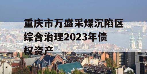 重庆市万盛采煤沉陷区综合治理2023年债权资产