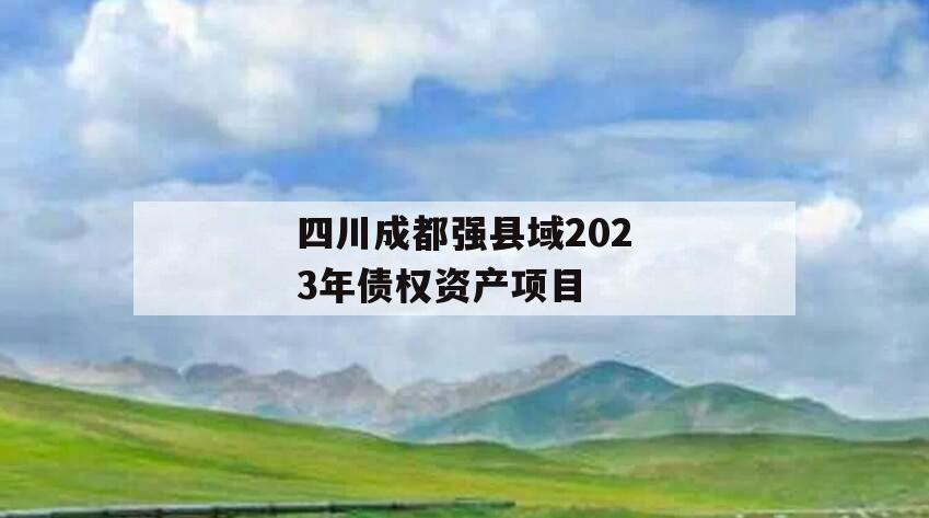 四川成都强县域2023年债权资产项目