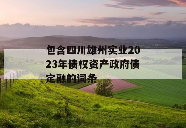 包含四川雄州实业2023年债权资产政府债定融的词条