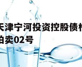 天津宁河投资控股债权拍卖02号