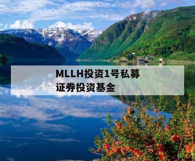 MLLH投资1号私募证券投资基金