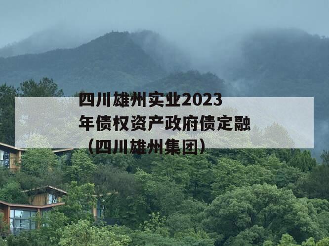 四川雄州实业2023年债权资产政府债定融（四川雄州集团）