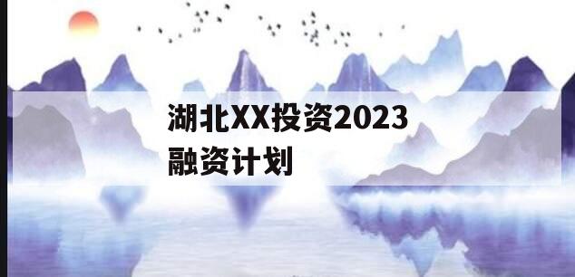 湖北XX投资2023融资计划