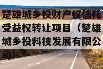 楚雄城乡投财产权信托受益权转让项目（楚雄城乡投科技发展有限公司）