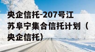 央企信托-207号江苏阜宁集合信托计划（央企信托）