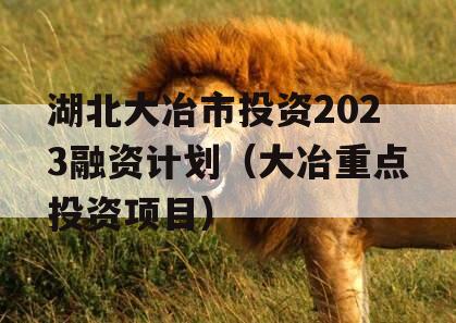 湖北大冶市投资2023融资计划（大冶重点投资项目）