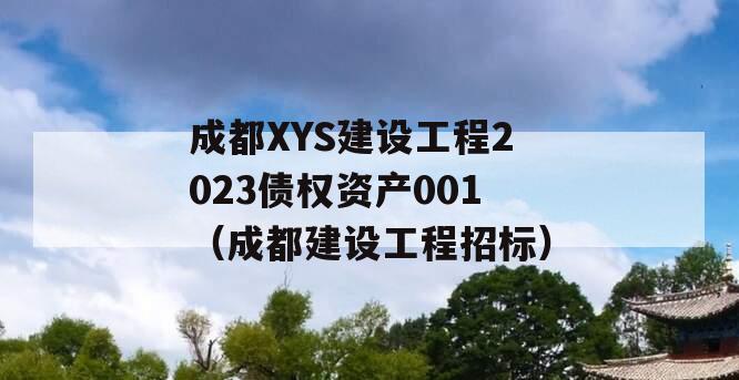 成都XYS建设工程2023债权资产001（成都建设工程招标）