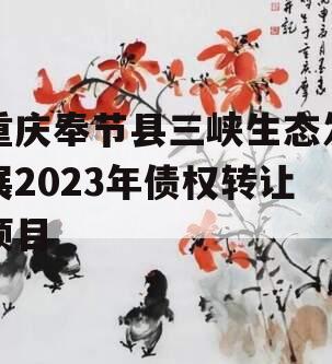 重庆奉节县三峡生态发展2023年债权转让项目