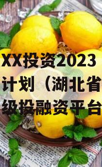 湖北XX投资2023融资计划（湖北省有哪些省级投融资平台）