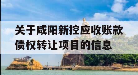 关于咸阳新控应收账款债权转让项目的信息