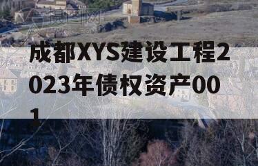 成都XYS建设工程2023年债权资产001