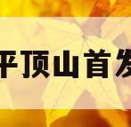 河南平顶山首发定融