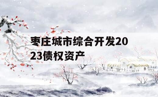 枣庄城市综合开发2023债权资产