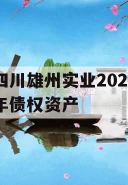 四川雄州实业2023年债权资产