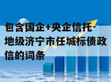 包含国企+央企信托-地级济宁市任城标债政信的词条