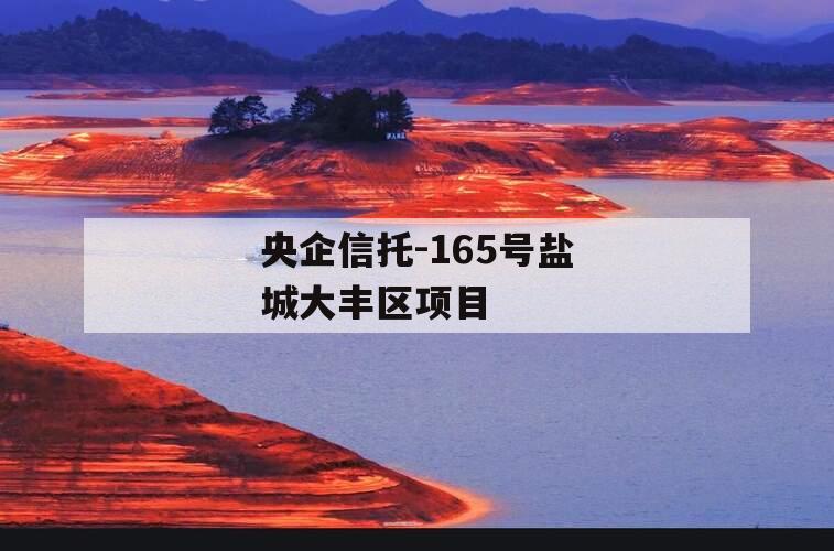 央企信托-165号盐城大丰区项目