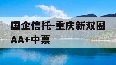 国企信托-重庆新双圈AA+中票